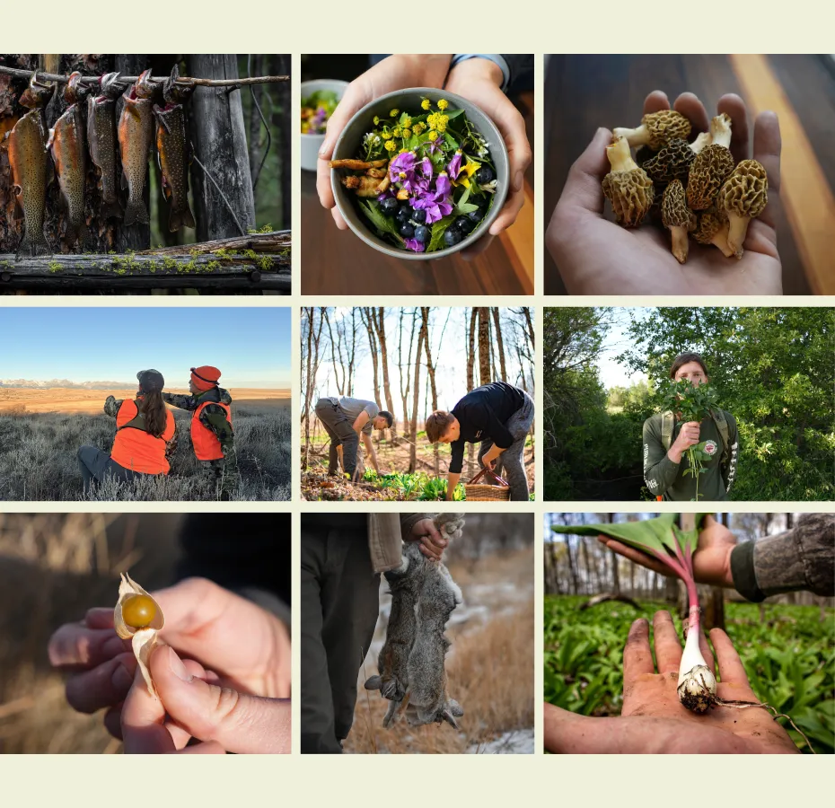 The Feral Feast Rebrand and Web Design